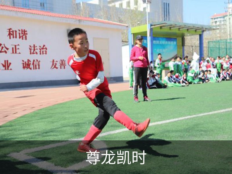 尊龙凯时概况